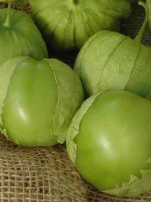 Tomatillo 'Tamayo'