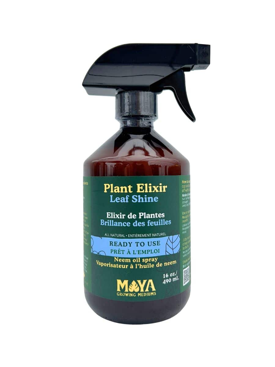 Maya Plant Elixir Leaf Shine - Ready To Use