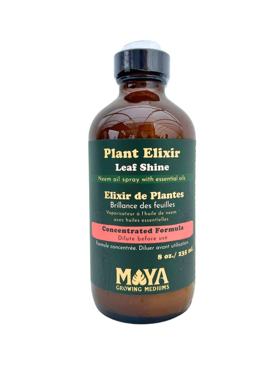 Maya Plant Elixir Leaf Shine - Concentrate